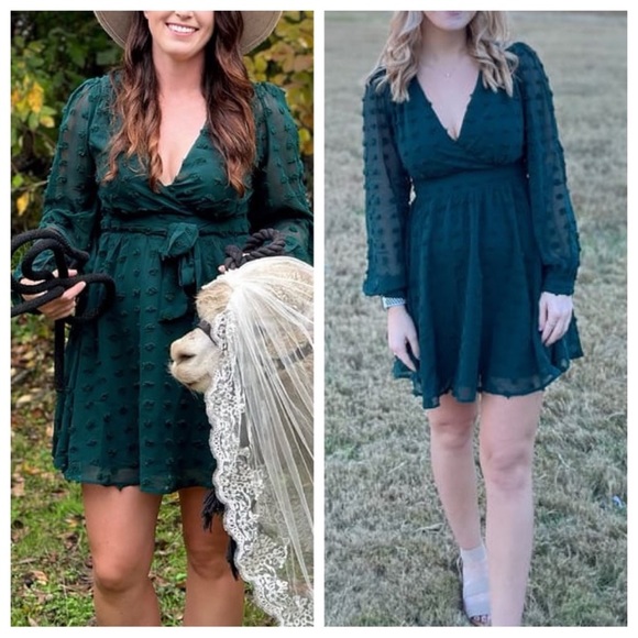 NWOT Lulus Always on Repeat Emerald Green Clip Dot Long Sleeve Mini Dress - Picture 4 of 12